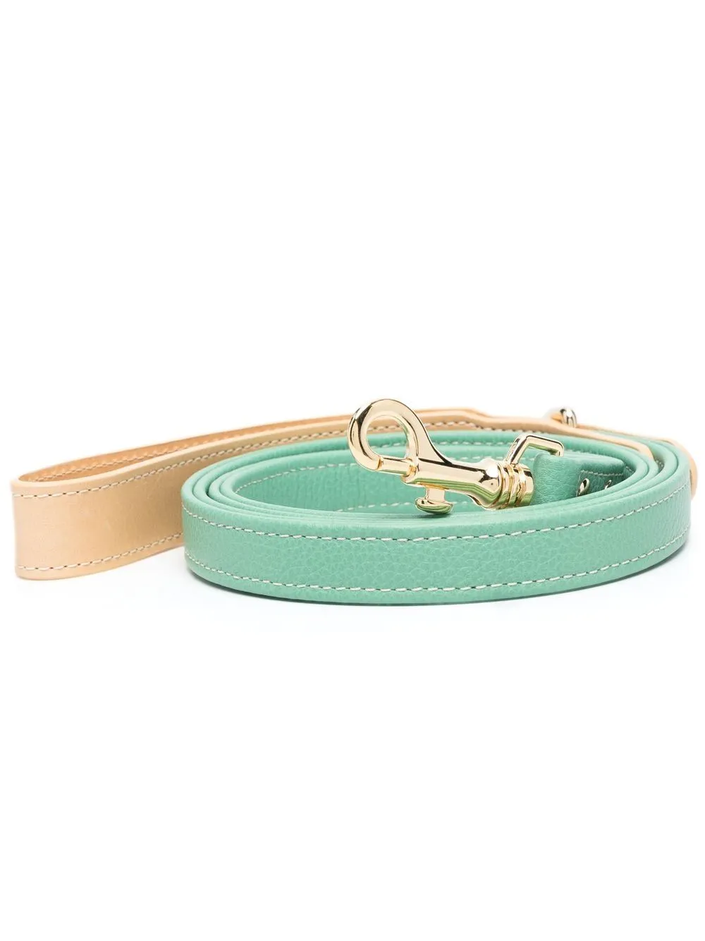 leather pet lead